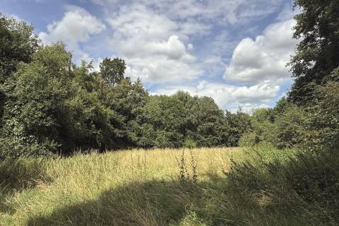 Property for auction in Kent