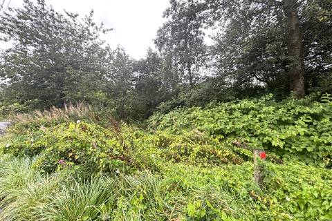 Property for auction in Lanarkshire