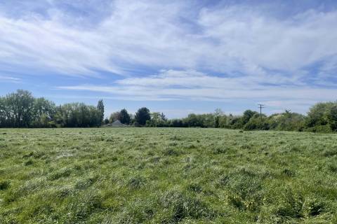 Property for auction in Somerset