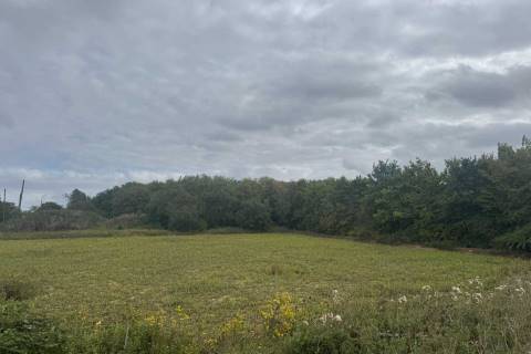 Property for auction in Suffolk