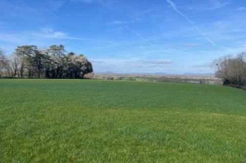 Property for auction in Somerset