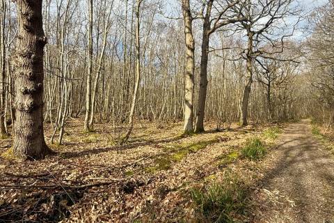 Property for auction in Kent