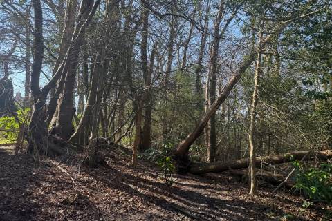Property for auction in East Sussex