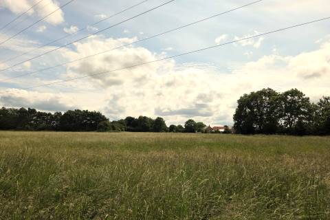 Property for auction in Wiltshire