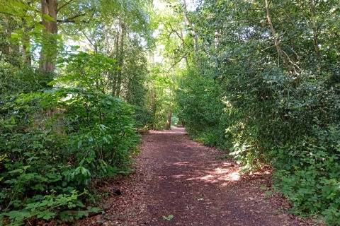 Property for auction in Berkshire