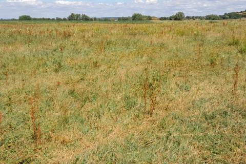 Property for auction in Somerset