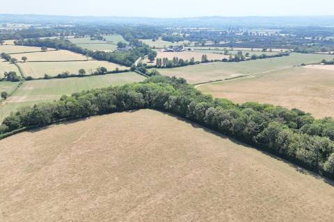 Property for auction in Dorset