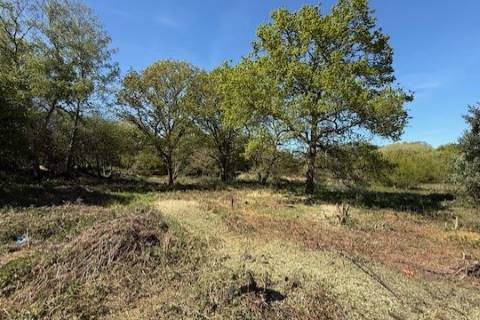Property for auction in Surrey