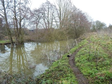 Property for auction in Norfolk