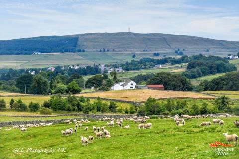 Property for auction in Cumbria