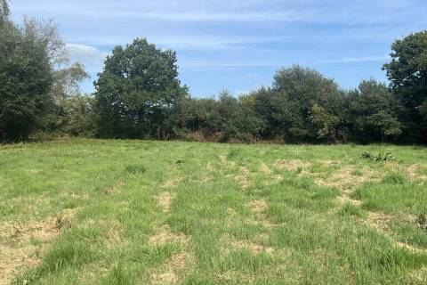 Property for auction in Devon