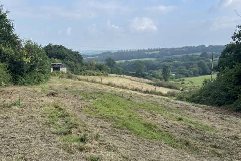 Property for auction in Devon