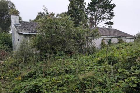 Property for auction in County Galway