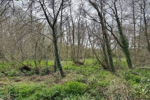 Property for auction in Isle of Wight