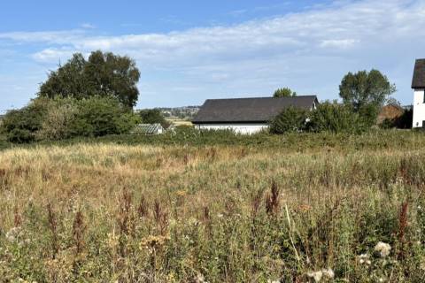 Property for auction in Staffordshire
