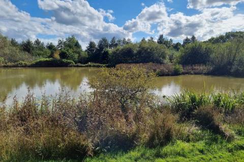 Property for auction in Devon