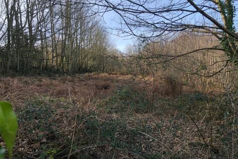 Property for auction in East Sussex