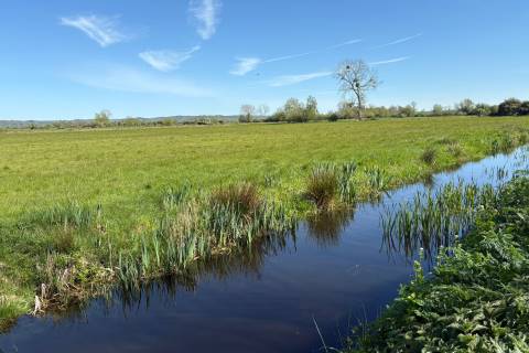 Property for auction in Somerset