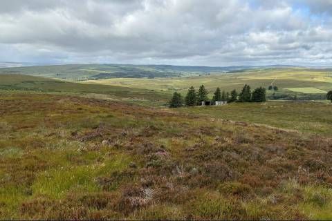 Property for auction in Northumberland