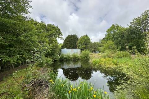 Property for auction in East Sussex