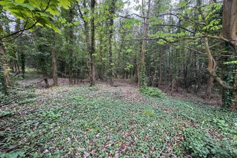 Property for auction in Kent