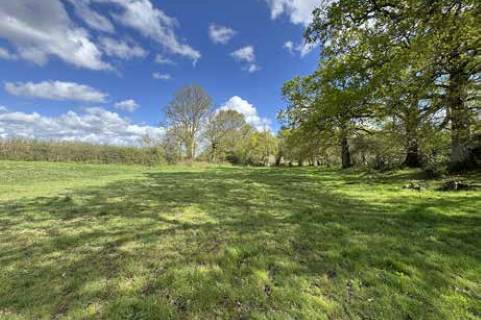 Property for auction in Dorset