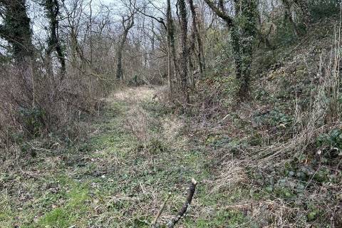 Property for auction in Shropshire