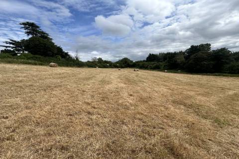 Property for auction in Somerset