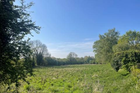 Property for auction in Norfolk