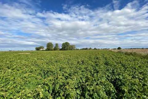 Property for auction in Lincolnshire
