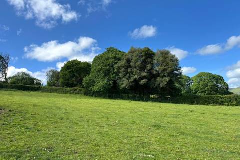 Property for auction in Devon
