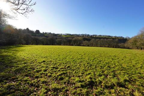 Property for auction in Devon