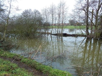 Property for auction in Norfolk