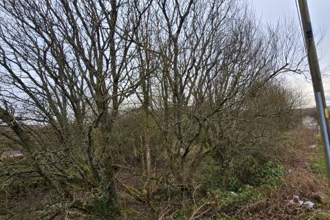 Property for auction in Gwent