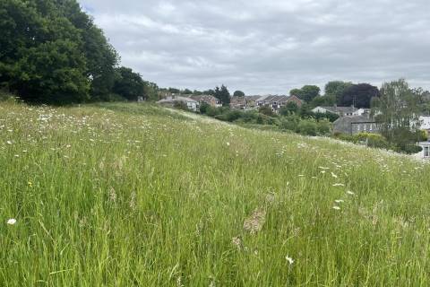 Property for auction in Devon