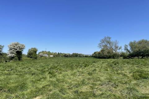 Property for auction in Somerset