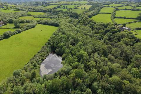 Property for auction in Clwyd