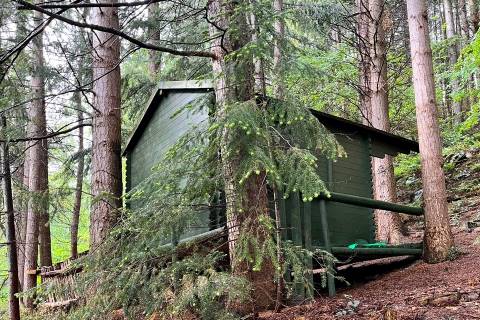 Property for auction in Clwyd