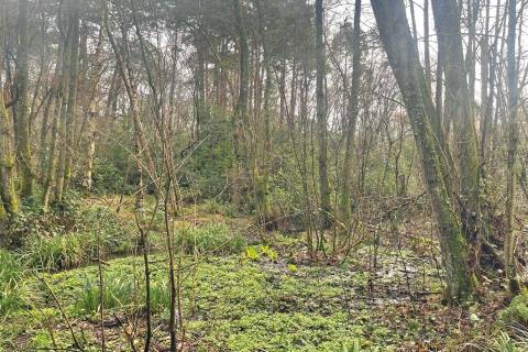 Property for auction in Surrey