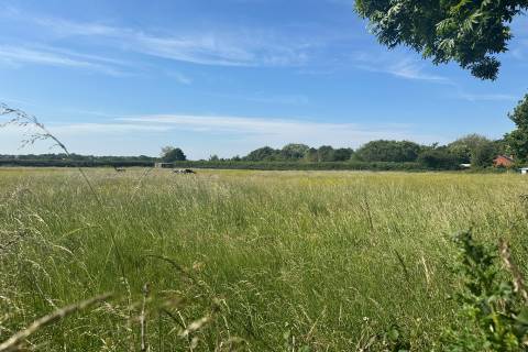 Property for auction in Suffolk