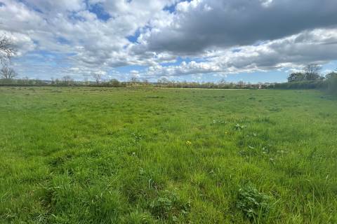 Property for auction in Somerset