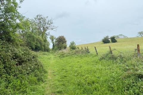 Property for auction in Gwynedd