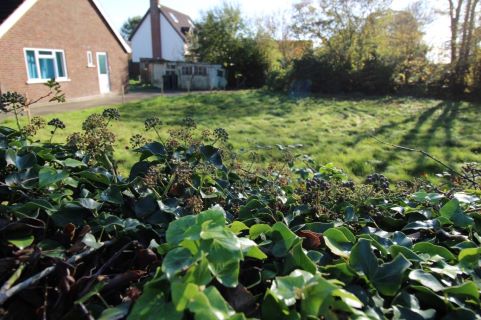 Property for auction in Suffolk