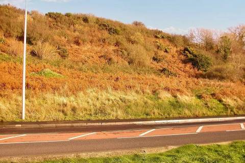 Property for auction in Wigtownshire