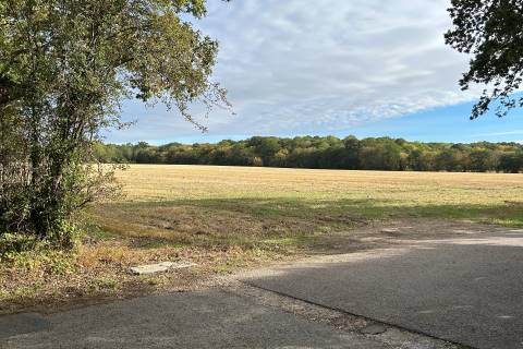 Property for auction in Essex