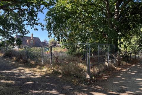 Property for auction in East Sussex
