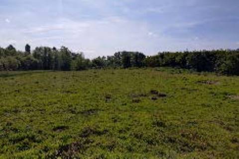 Property for auction in Norfolk