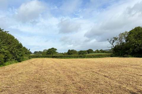 Property for auction in Somerset