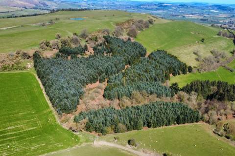 Property for auction in Powys