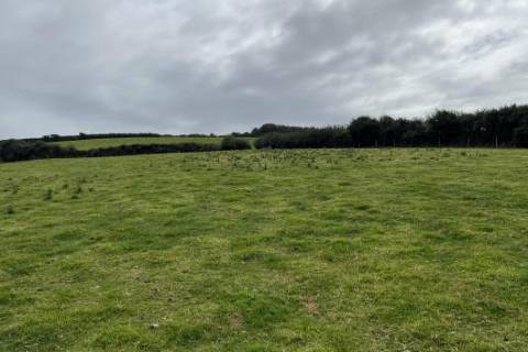 Property for auction in Cornwall